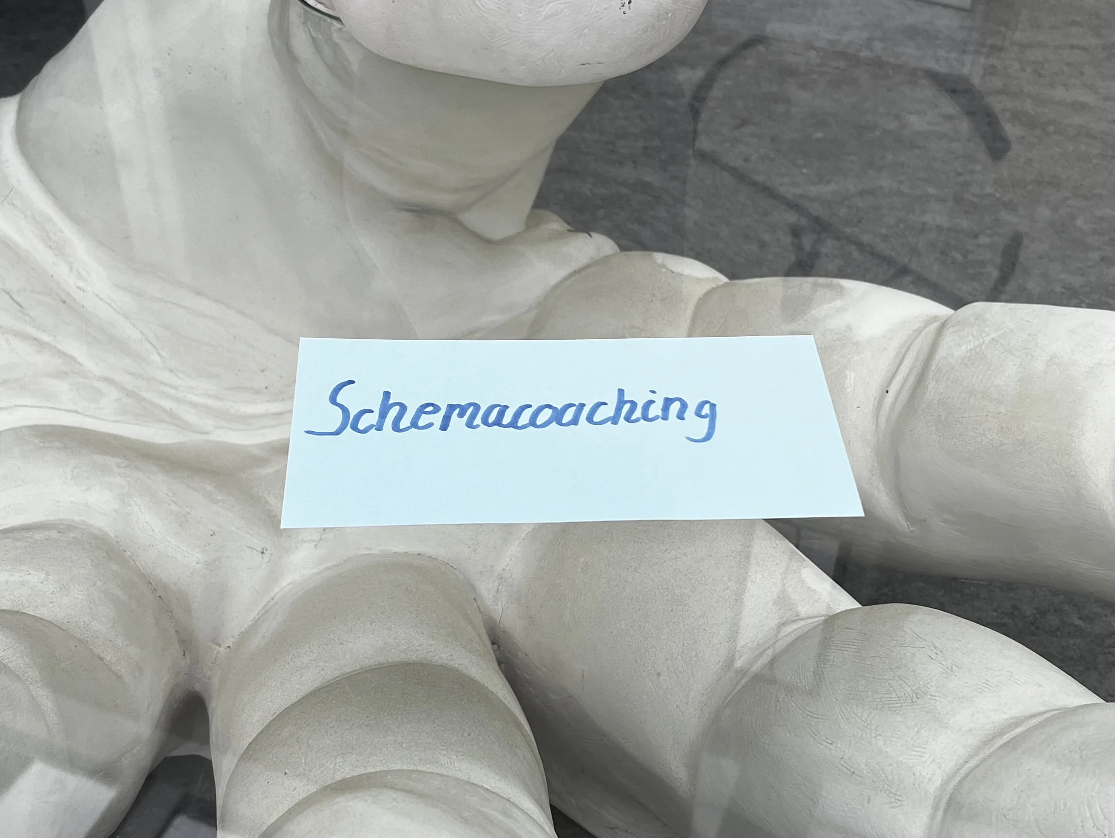 Schemacoaching