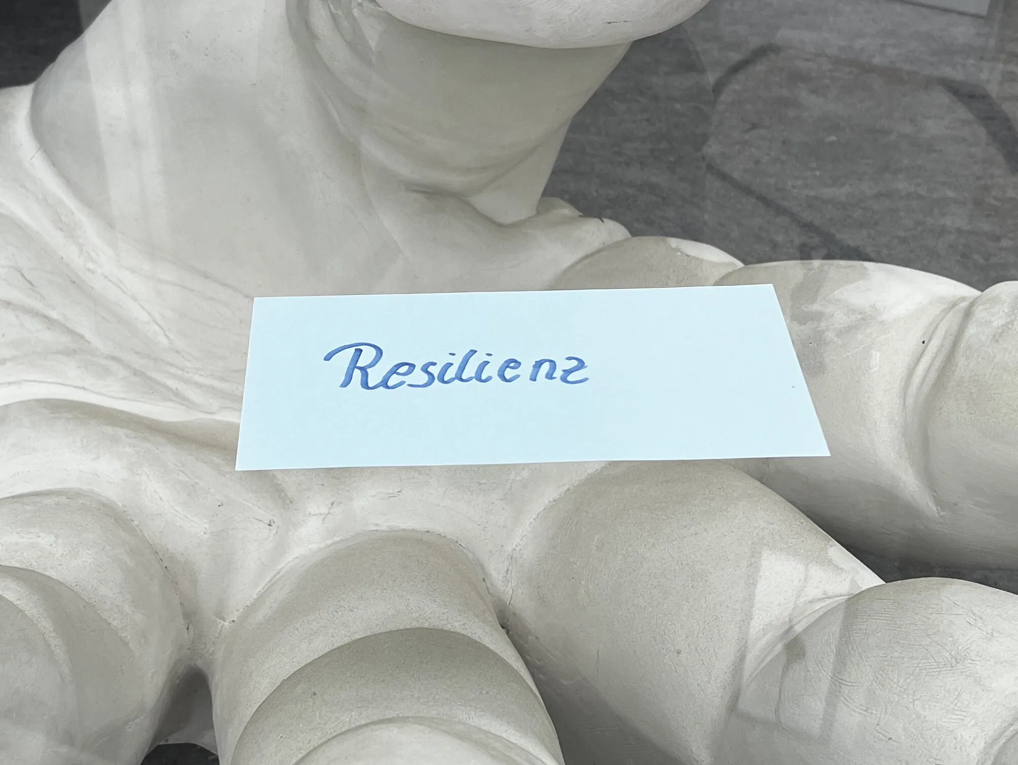 Resilienz