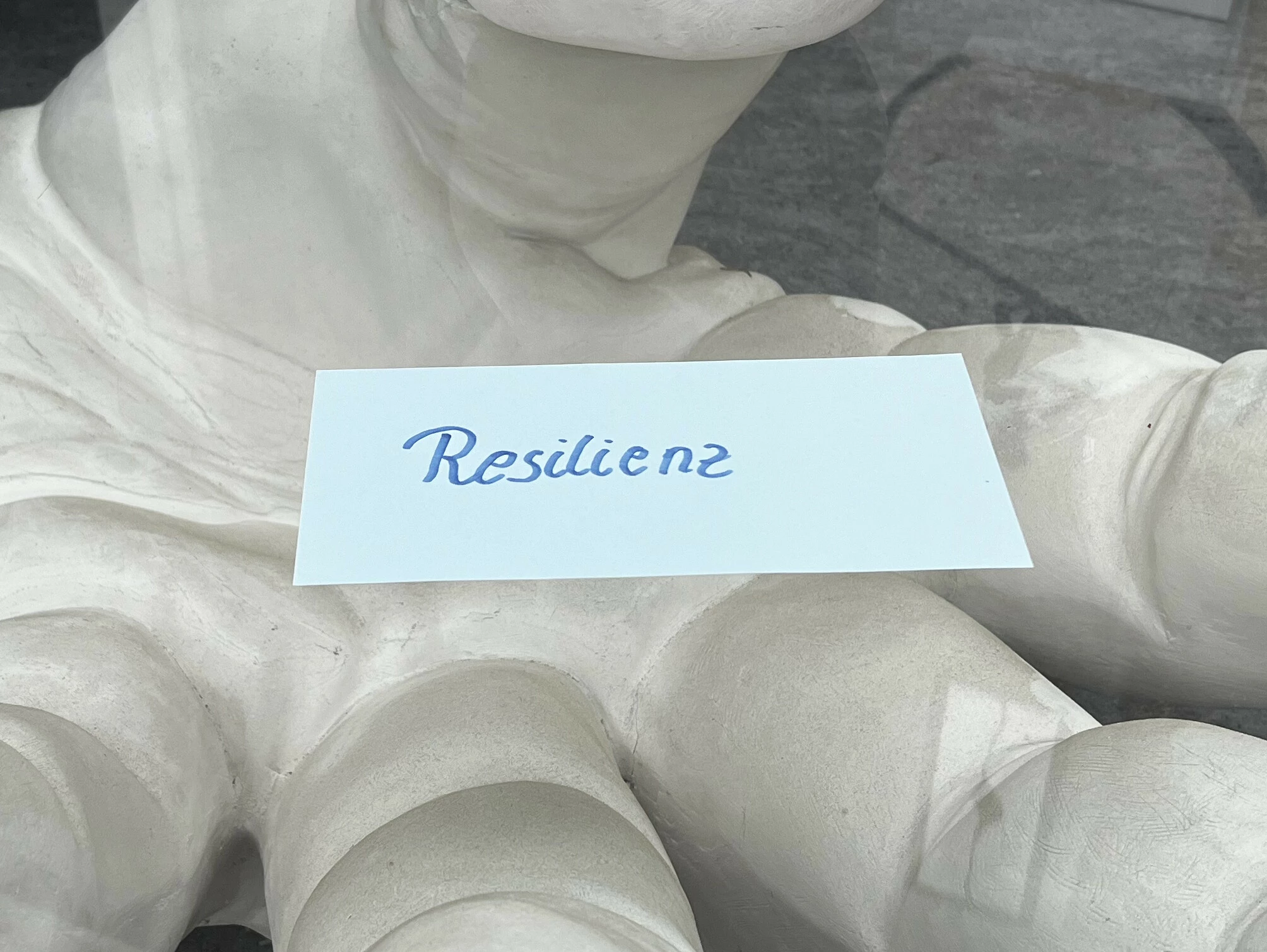 Resilienz